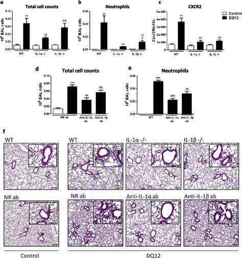 The Alarmin Il 1α Is A Master Cytokine In Acute Lung Inflammation