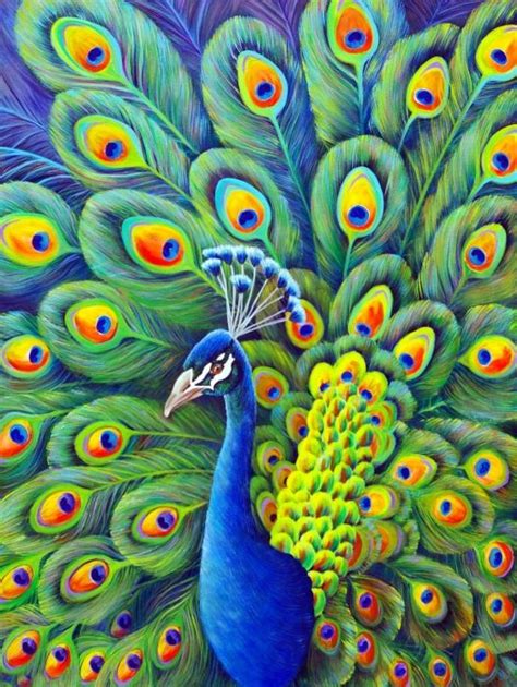 58 Best Images About Peacock On Pinterest Peacocks Palette Knife And