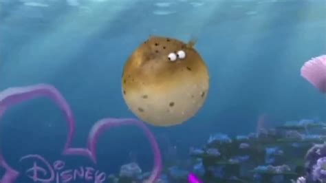 Disney Channel Bumper Finding Nemo 1 2012 2014 Youtube