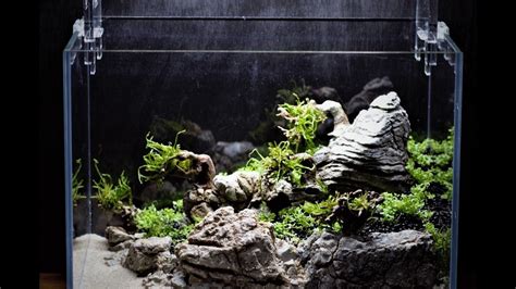 Aquascaping For Beginners Step By Step Nerd Penguin