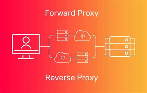 What Is A Reverse Proxy Server Simply And Clearly Proxyway
