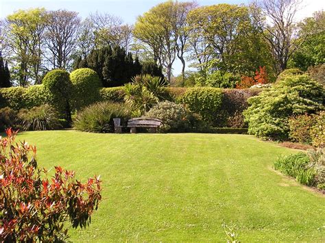 Garden plants gardening summer fence hobby yard growing green thumb growth. Isle of Jura Wallpaper II - Isle of Jura Info