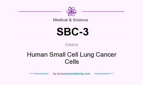 Benign tumors do not spread into, or invade, nearby tissues. What does SBC-3 mean? - Definition of SBC-3 - SBC-3 stands ...