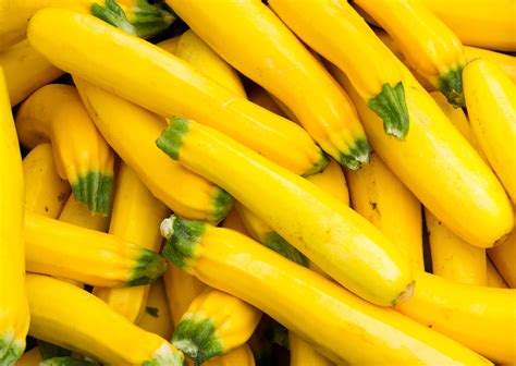 Yellow Squash Why You Should Start Eating This Veggie Now Slender