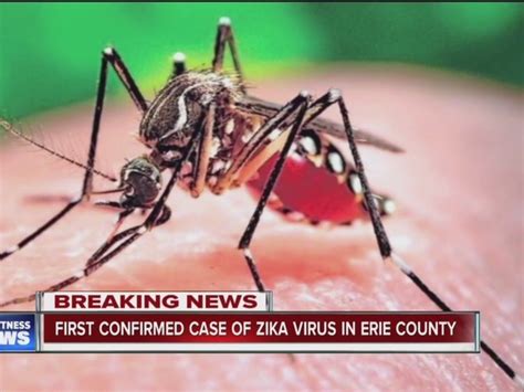 Woman Has 1st Case Of Zika Virus In Erie County