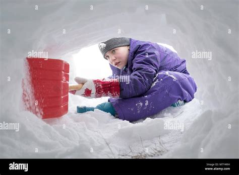 Canadian Girl Digging Snow Tunnel With Red Plastic Shovel Stock Photo