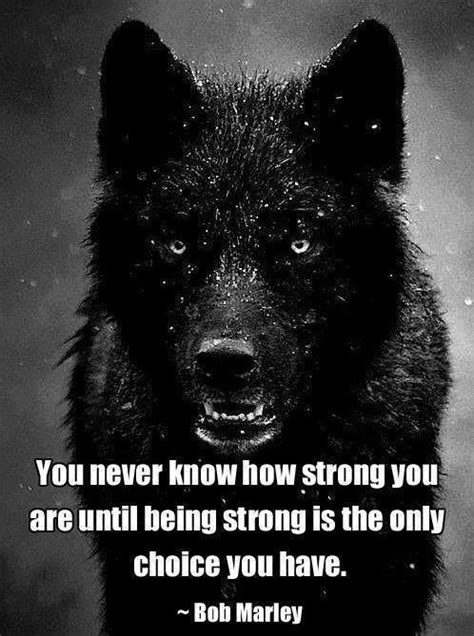 Meme about bob marley, picture related to choice, strong, marley and strong, and belongs to categories animals, inspiring, life situations, motivating, quotes, stars, etc. You never know how strong you are until being strong is the only thing you have. ~Bob Marley # ...