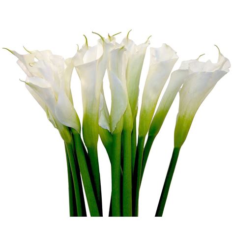 Lately this bouquet is again in fashion among the contemporary. Types of Flower Decorations For Luxury Weddings NYC ...