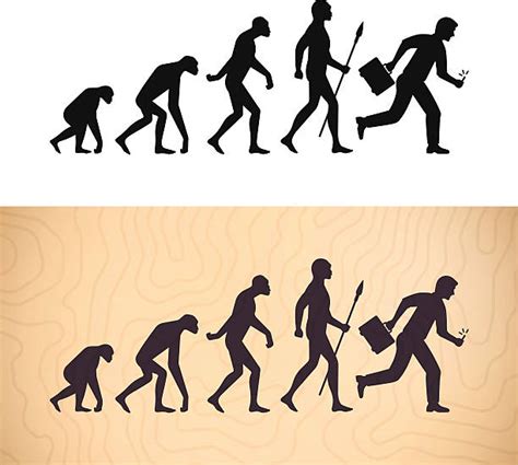 Evolution Clip Art