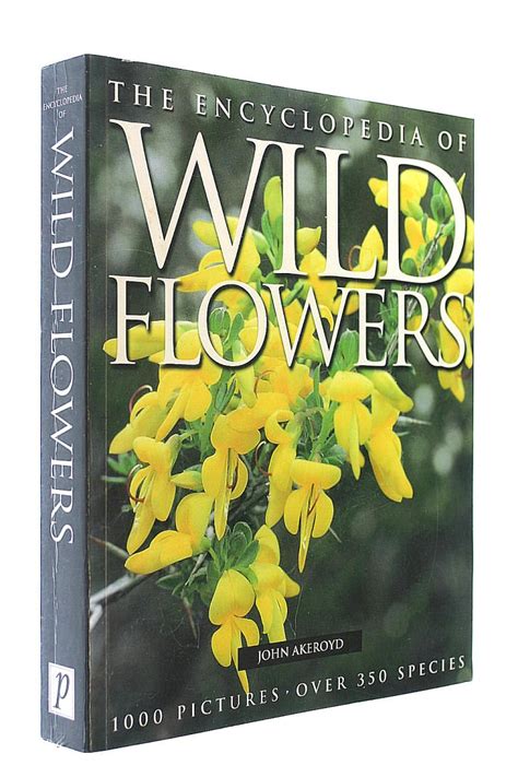 Amazon Wild Flowers Encyclopedia S Akeroyd John Reference