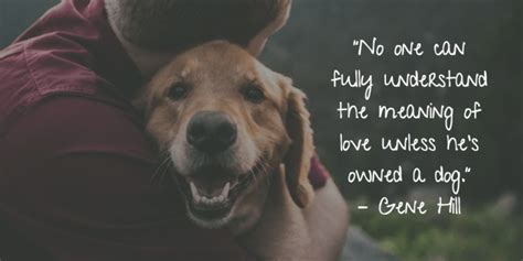 25 Dog Quotes About Love And Loyalty Terribly Terrier