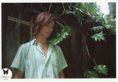 Official Photo Male Actor Takumi Saitoh Sarai Horizontal Upper Body Shirt Shiromidori