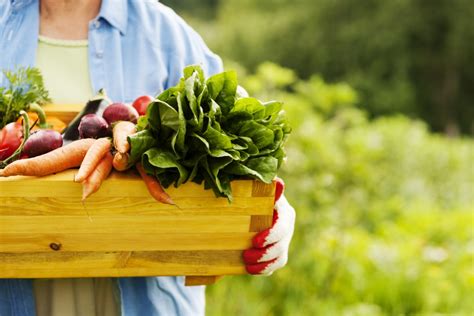 Enatura Kelebihan Dan Manfaat Makanan Organik Bagi Kesehatan