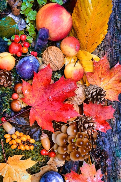 Things Of Autumn Jigsaw Puzzle