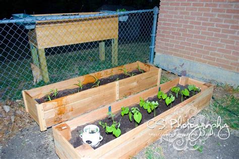 Though raised garden beds are typically made out of wood, liz marie galvan proves metal is an equally suitable material. Ana White | Raised Garden Bed Variations - DIY Projects