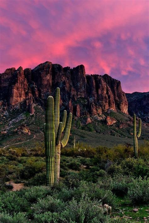 Southwest Aesthetics Arizona Landscape Desert Aesthetic Southwest