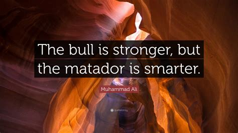 Bull Quote 3 Here Are 10 Most Memorable Quotes From Raging Bull