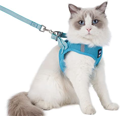10 Best Cat Harness For Ragdoll Reviews By Cosmetic Galore