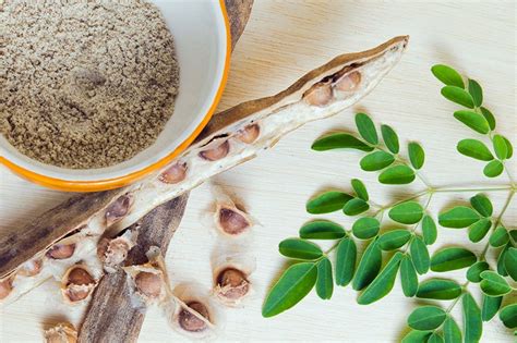 Benefits Of Moringa Seeds For Skin, Hair And Weight Loss: It Side Effects gambar png