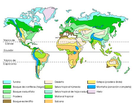 Principales Biomas Del Mundo Clima Medio Ambiente Y Tecnolog A