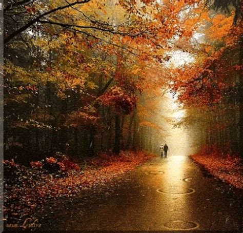 Pin By Malydi Vel On ᎰᎯᏉ ᎰᎯᏰ ᎦᏌᏁᖇi⃟ᎦᏋᎦᏋᎿ Autumn Rain Nature