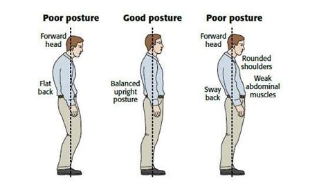 The Ultimate Exercises To Improve Posture Simple And