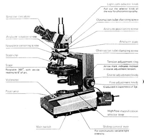 Everything You Need To Know About Polarizing Microscope Parts And