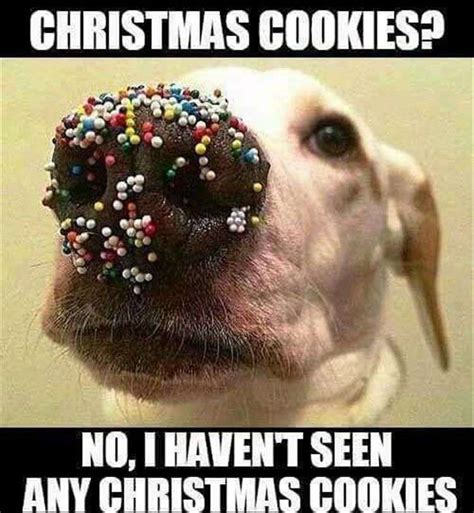 10 Funny Christmas Memes That Will Make You Laugh Out Loud World