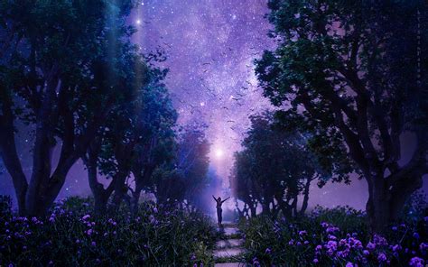 Download Wallpaper 2560x1600 Forest Starry Sky Art