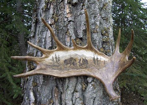 Antler Carvings By Ben Firth