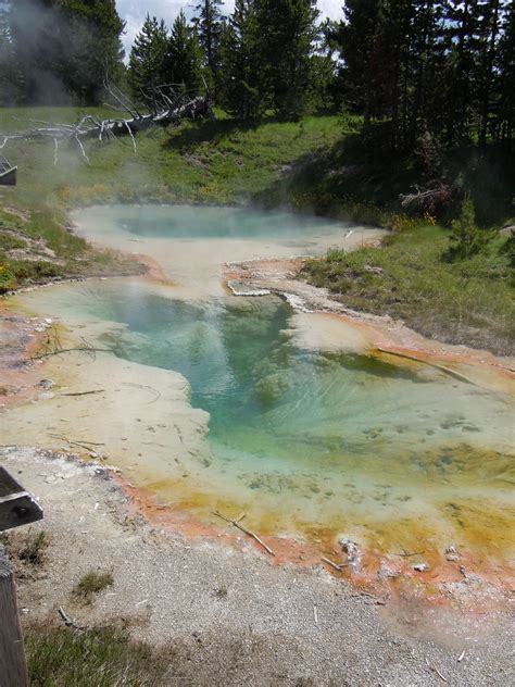 One Of The Many Hot Springs In Yellowstone National Park Usa Oh The