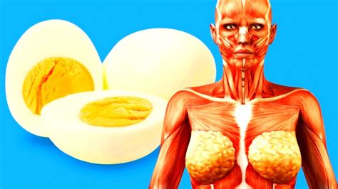 How about scrambled with a side of bacon? What Happens to Your Body When You Start Eating 2 Eggs a ...