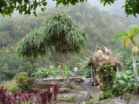 Iao Valley State Park Maui © State Parks Vacation Places To Travel