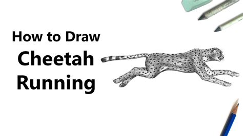 • 5 млн просмотров 10 месяцев назад. How to Draw a Cheetah Running with Pencils [Time Lapse ...