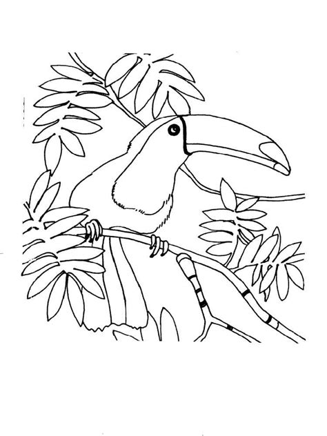 This toucan coloring page is a wonderful afternoon activity there's plently of opportunity to create a colorful bird of your own. Toucan coloring pages. Download and print Toucan coloring ...