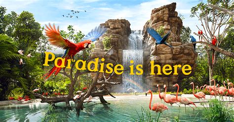 Visit The New Mandai Birds Paradise Must Share Good Things