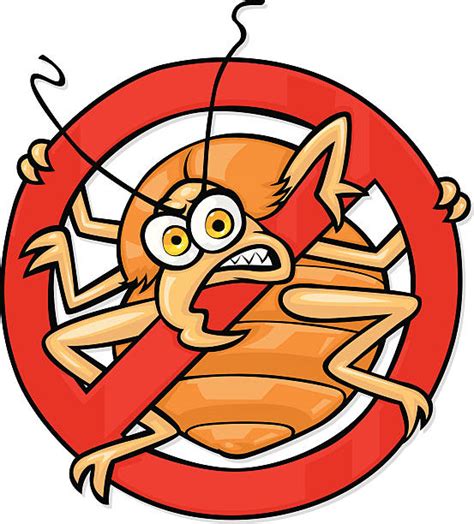 Cartoon Of Bed Bugs Illustrations Royalty Free Vector Graphics And Clip