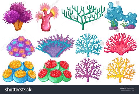 2450 Coral Reef Clipart Stock Vectors Images And Vector Art Shutterstock