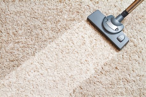 7 Essential Carpet Cleaning Before And After Must Know Tips