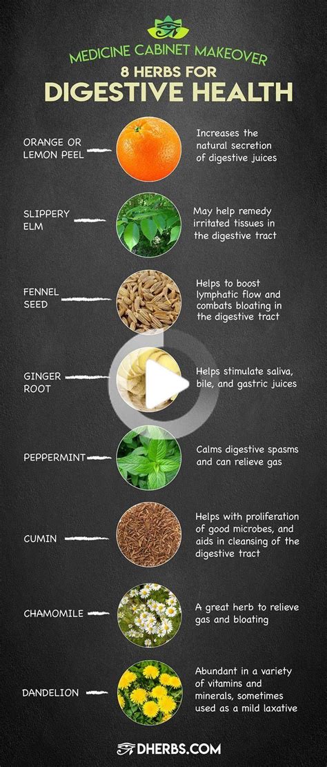 Improve Digestive Health With These 8 Herbs Digestive Health