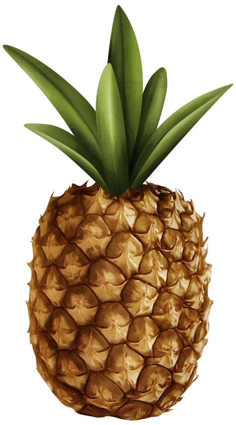 Download High Quality Pineapple Clipart Realistic Transparent Png