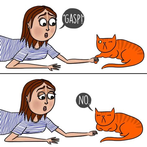 12 weird things cat owners think are normal funny cat jokes cat owners cat behavior
