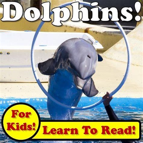 Dolphins Learn About Dolphins While Learning To Read Dolphin Photos