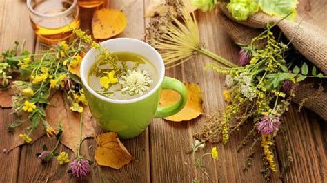 14 Top Herbs For Depression And Anxiety • Kratomind