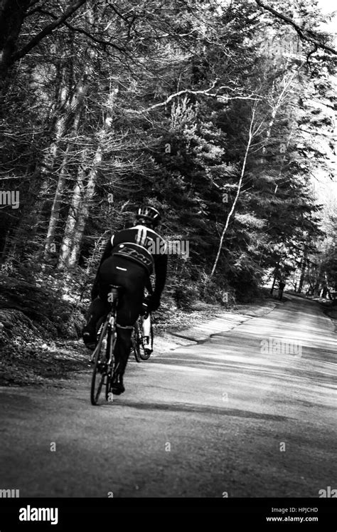 Cycling In The New Forest In Hampshire Stock Photo Alamy