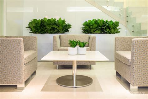 25 Awe Office Plants Interior Design Ideas 13 Is Damn