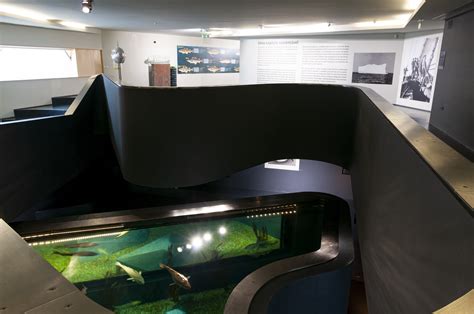 Museu Marítimo De Ílhavo Ria De Aveiro