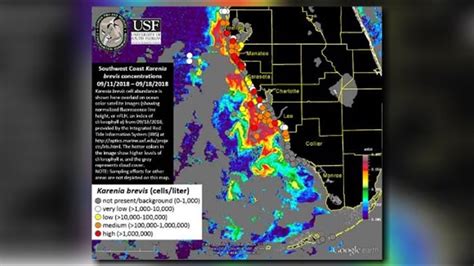 Red Tide Bloom Worsens In Pinellas County New Fwc Map Shows