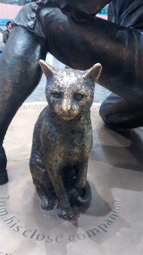 Matthew Flinders Cat Trim Euston Station Cat Art Early Explorers