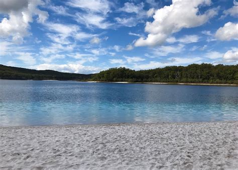 Fraser island is home to forty of the world's eighty perched lakes, and like the many other giant satinay and kauri trees also grow around the forest. Visit Fraser Island on a trip to Australia | Audley Travel